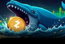 ZEC whale wallet gains $2.7M in 3 days after $16.3M position