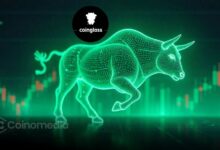 Crypto chart showing no bull market peak indicators triggered