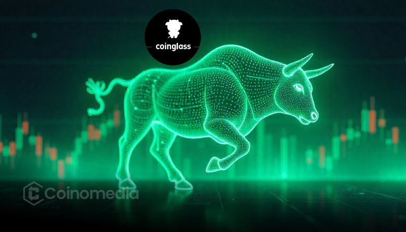 Crypto chart showing no bull market peak indicators triggered