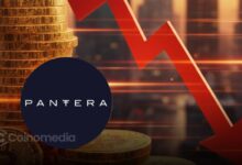 Pantera Early-Stage Token Fund underperformance due to poor crypto deals