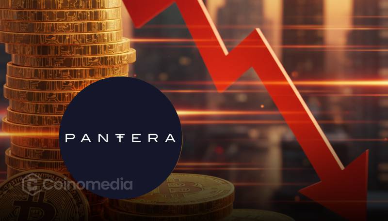 Pantera Early-Stage Token Fund underperformance due to poor crypto deals