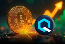 Graph showing dormant Bitcoin held in old wallets at risk from quantum threats