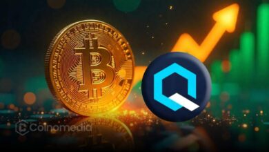 Graph showing dormant Bitcoin held in old wallets at risk from quantum threats