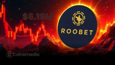 Roobet Gambler Loses $6.19M in Just 4 Days