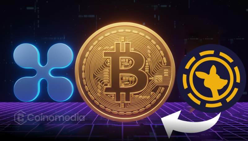 Roobet Gambler Closes XRP Short, Doubles Down on BTC