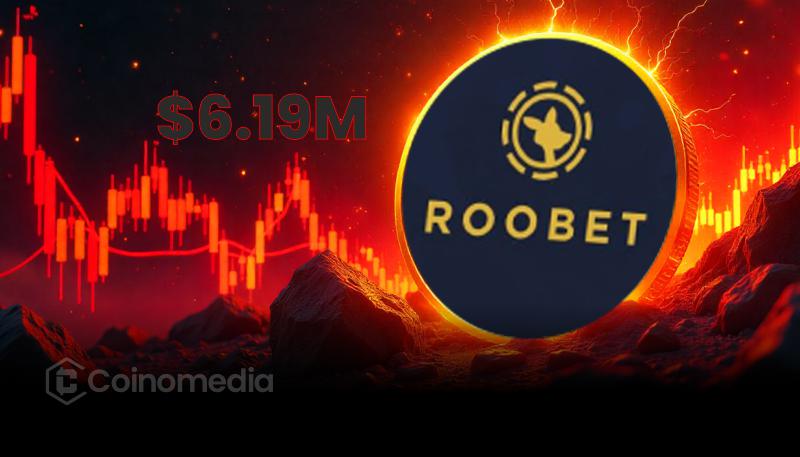 Roobet Gambler Loses $6.19M in Just 4 Days