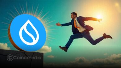 SUI network stablecoin growth chart showing $100M increase in two weeks