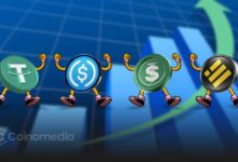 Illustration showing stablecoin adoption trends and infrastructure components.
