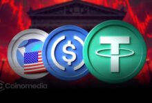 Stablecoin Market Cap Hits Record $307B High