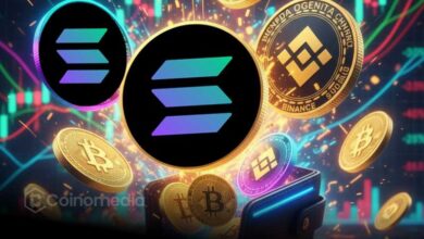 Chart showing 70,000 Solana (SOL) withdrawal from Binance wallets