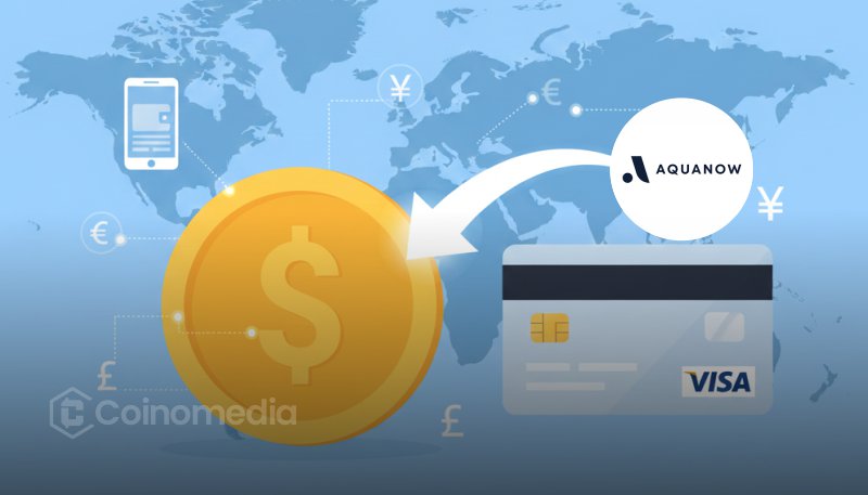Visa AquaNow stablecoin partnership for faster settlements