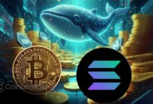 Whale buys $5M SOL and holds $29M BTC long position