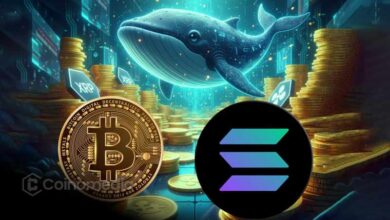 Whale buys $5M SOL and holds $29M BTC long position