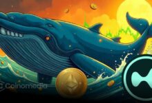 Whale activity surge in HYPE token suggests bullish trend