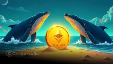 Ethereum whale accumulation signals bullish momentum toward $4K