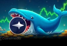 Whale activity BNBHolder token purchase post Binance Alpha listing