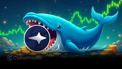Whale activity BNBHolder token purchase post Binance Alpha listing