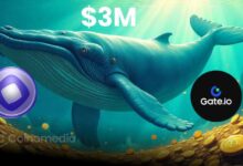 Crypto whale withdraws $3M MON tokens from Gate.io