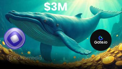 Crypto whale withdraws $3M MON tokens from Gate.io