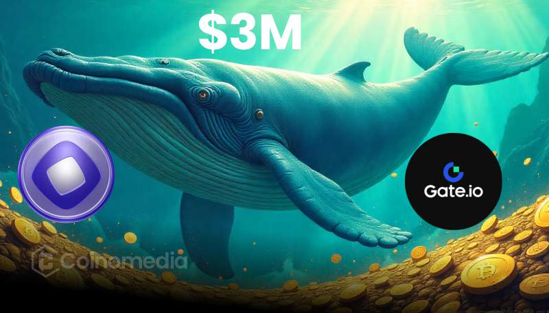 Crypto whale withdraws $3M MON tokens from Gate.io