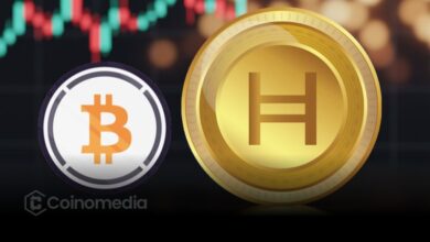 Wrapped Bitcoin (WBTC) integration on Hedera DeFi network