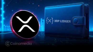 XRP Ledger growth reaches 8-month high with over 21,000 new wallets