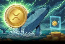 Graph showing XRP wallet growth hitting 8-month high in 2025