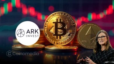 Cathie Wood discusses Ark Invest crypto strategy amid market dip