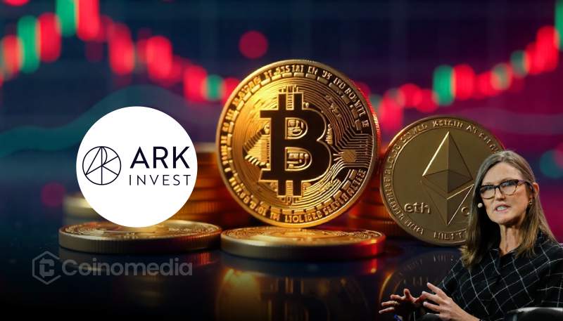 Cathie Wood discusses Ark Invest crypto strategy amid market dip