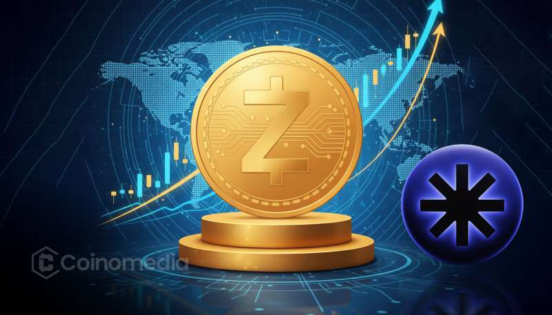 ZEC token listed on FogSwap exchange with rising market momentum