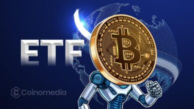 Graph showing Bitcoin ETF outflows and price decline