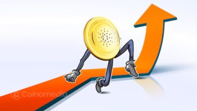 A graph showing ADA token dropping sharply after a major trade by a Cardano holder