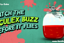 La Culex Meme Coin Stage 4 Presale Is Live: Top Crypto to Buy Today for Investors Who Want Early Gains Alongside Solana and Polkadot