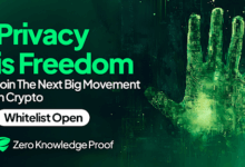 Zero-Knowledge Proof Could Crush DOGE & Polygon: The $300-a-Day Crypto Passive Income Opportunity for 2025