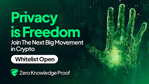 Zero-Knowledge Proof Could Crush DOGE & Polygon: The $300-a-Day Crypto Passive Income Opportunity for 2025