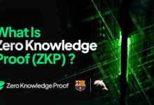 Zero Knowledge Proof Sparks Hype as 2025’s Top Privacy Contender With $100M Infrastructure Ready
