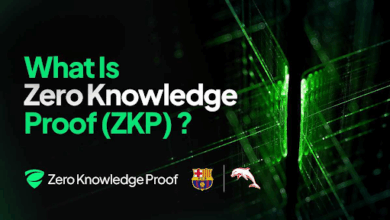 Zero Knowledge Proof Sparks Hype as 2025’s Top Privacy Contender With $100M Infrastructure Ready