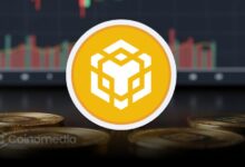 BNB Chain stablecoin concept with cross-platform liquidity features