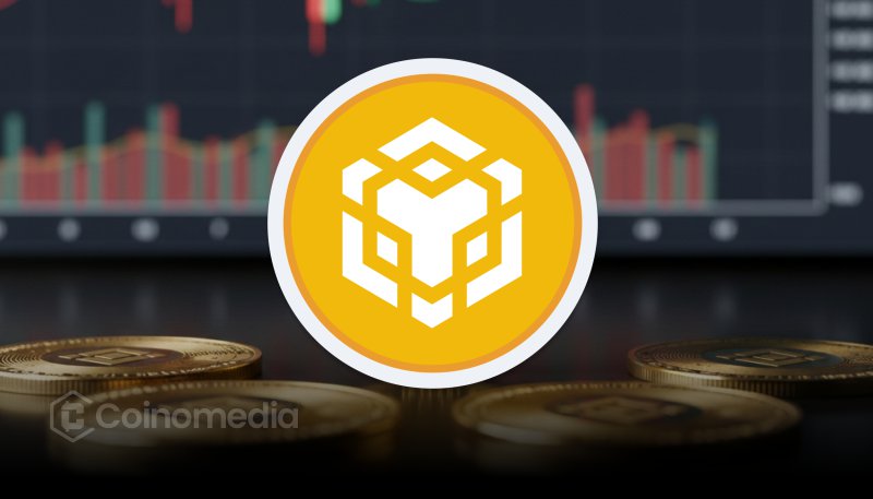 BNB Chain stablecoin concept with cross-platform liquidity features