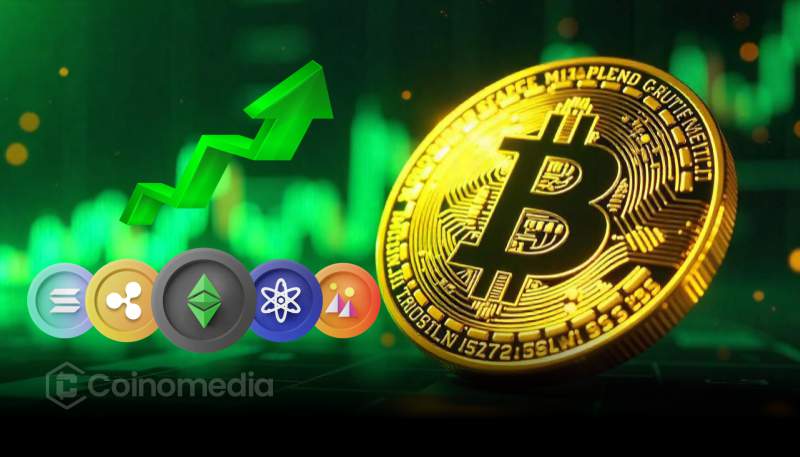 Bitcoin market dominance chart showing altcoin weakness