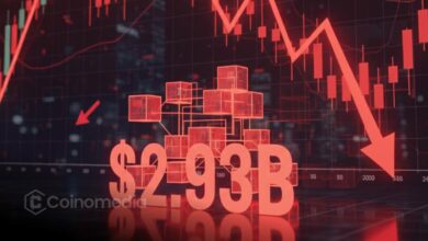 Blockchain losses 2025 report showing $2.93 billion in total damages