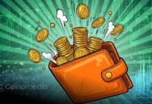 Chart showing decline in active Bitcoin wallets over the past year