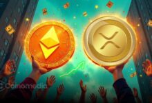 ETH and XRP spot ETFs attract strong inflows December 3