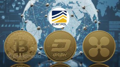 Europol Crypto Fraud Investigation