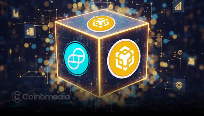 Gemini exchange launches BNB trading and custody support