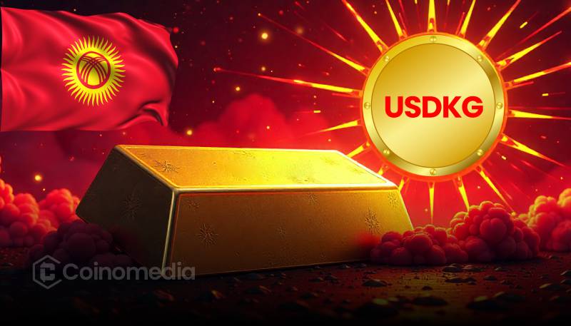 Digital token labeled USDKG with a background of gold bars representing its physical gold backing.