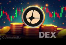 Lighter DEX volume surpasses Aster in 24h trading data