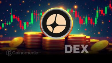 Lighter DEX volume surpasses Aster in 24h trading data