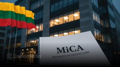 Crypto regulation in Lithuania under MiCA license rules