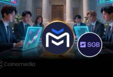 Fly Wing partners with Singapore Gulf Bank for global settlement solutions